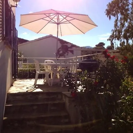 Villa Oliera Saint-Florent  Room photo